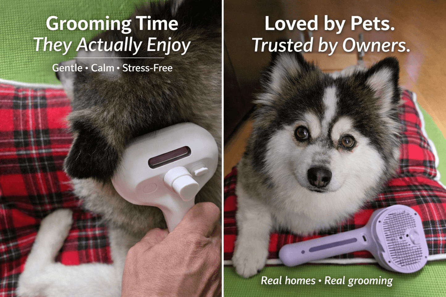 PawTidy™ GentleMist Grooming Brush —  Calm & Comfortable Grooming