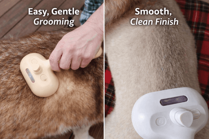 PawTidy™ GentleMist Grooming Brush —  Calm & Comfortable Grooming