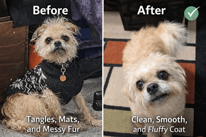 PawTidy™ GentleMist Grooming Brush —  Calm & Comfortable Grooming