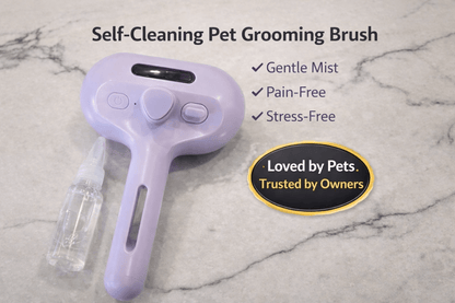 PawTidy™ GentleMist Grooming Brush —  Calm & Comfortable Grooming