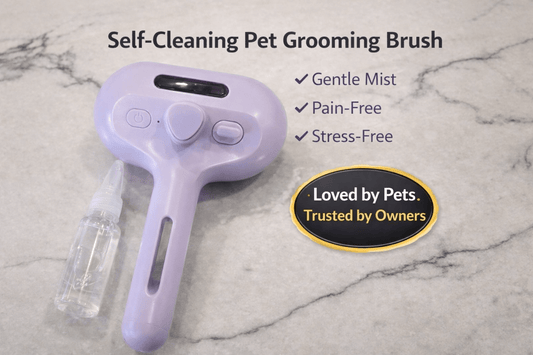 PawTidy™ GentleMist Grooming Brush —  Calm & Comfortable Grooming